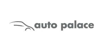 Samenwerking Rittenmeester BV en Auto palace Dronten.